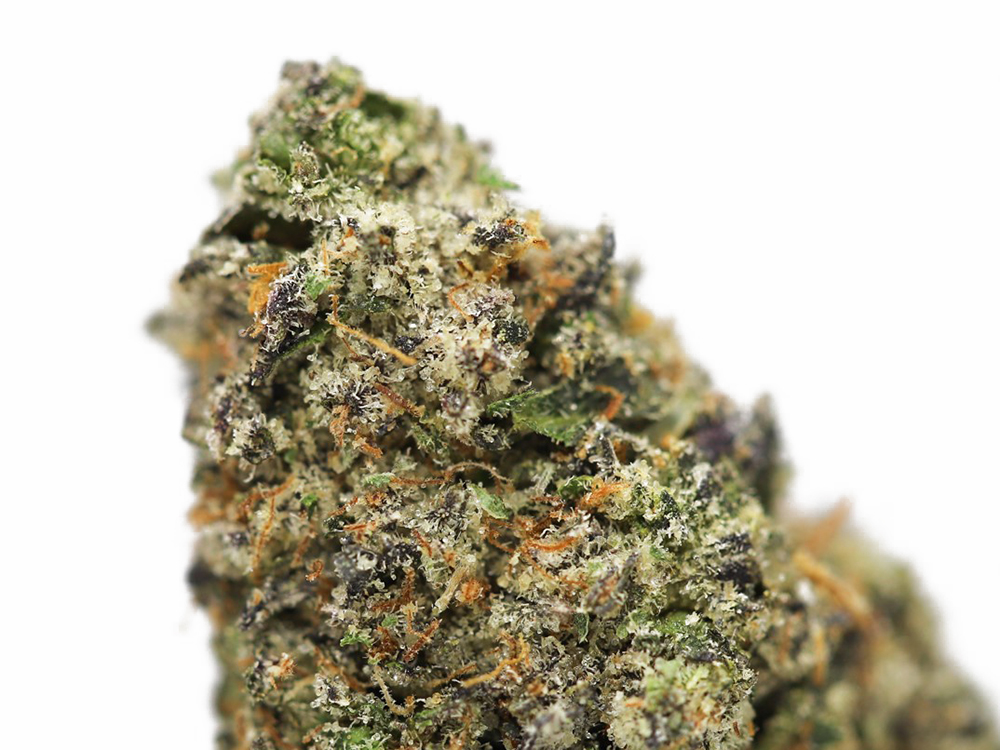 TUNA KUSH CLOSE UP.jpg TUNA KUSH CLOSE UP.jpg