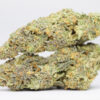 Tangerine Dream AAA 1 Tangerine dream AAA restock.jpg