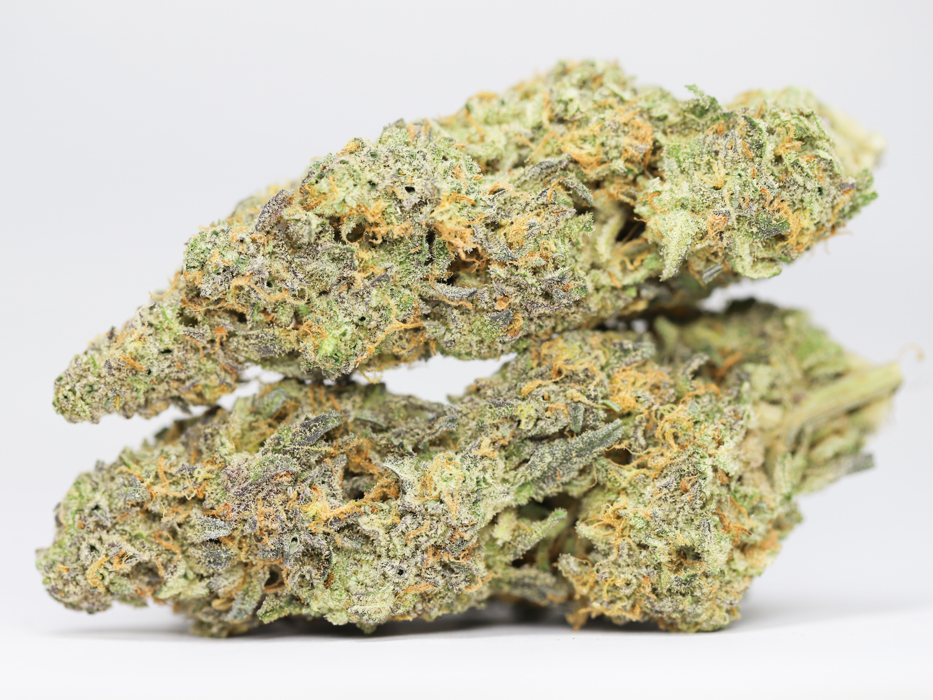 Tangerine dream AAA restock.jpg Tangerine dream AAA restock.jpg