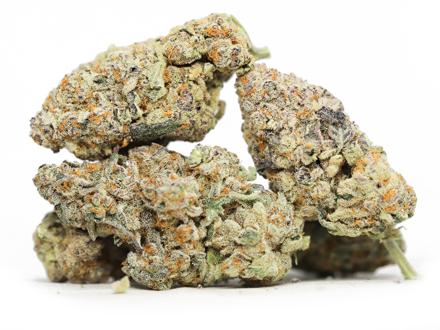Trainwreck Oz special 69.jpg Trainwreck Oz special 69.jpg