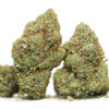 Tropical Cookies OZ Special 1 Tropical Cookies 79 Oz special.jpg