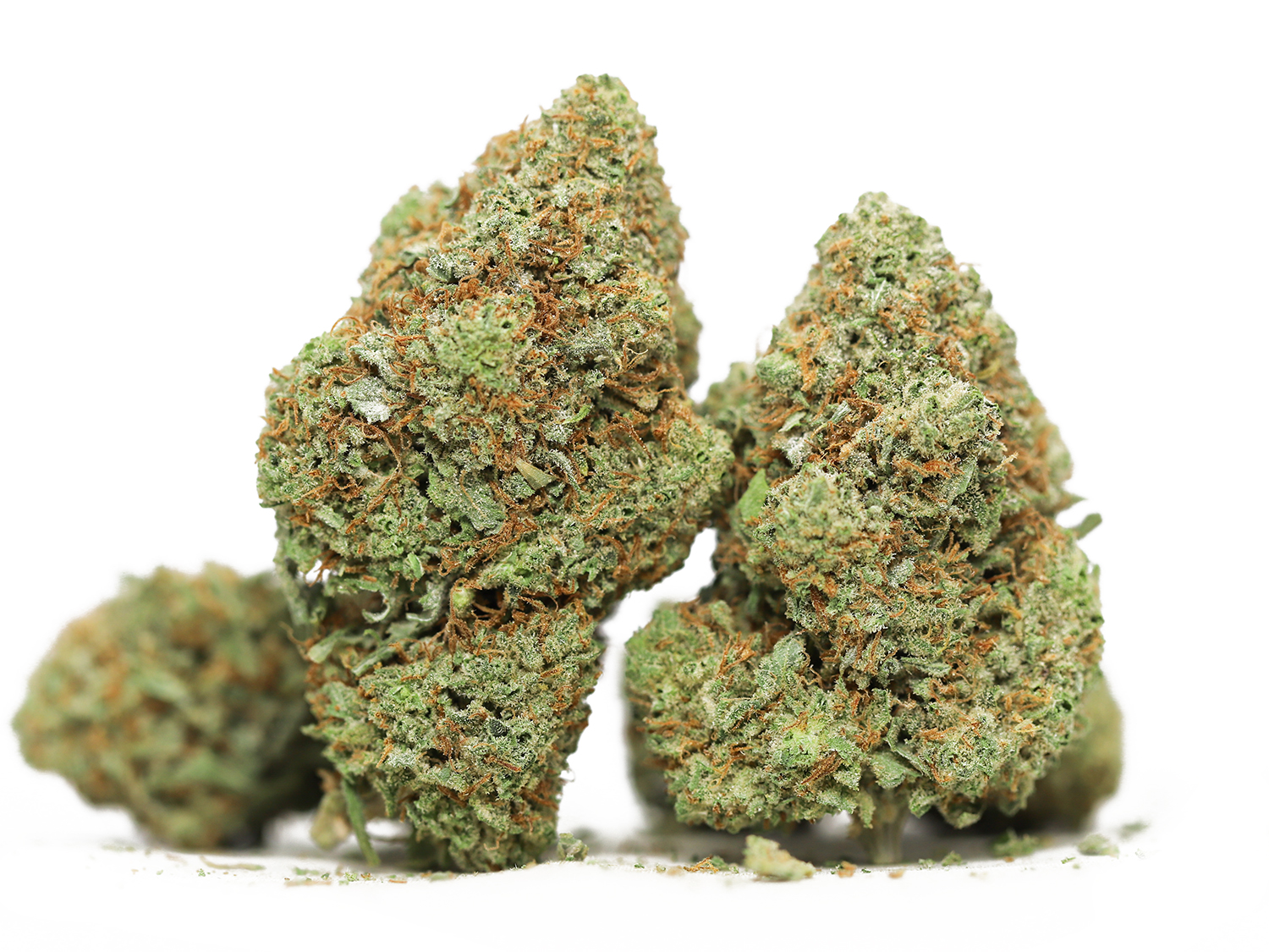 Tropical Cookies 79 Oz special.jpg Tropical Cookies 79 Oz special.jpg