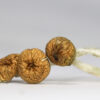 Vietnamese (shrooms) 3 VIETNAMESE SHROOMS RESTOCK.jpg