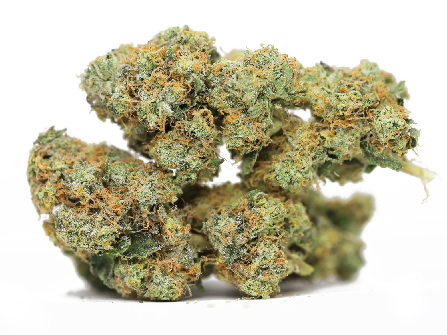 WALTER WHITE AA RESTOCK.jpg WALTER WHITE AA RESTOCK.jpg