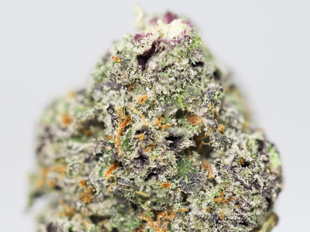 WATERMELON ZKITTLEZ AA CLOSE UP.jpg WATERMELON ZKITTLEZ AA CLOSE UP.jpg