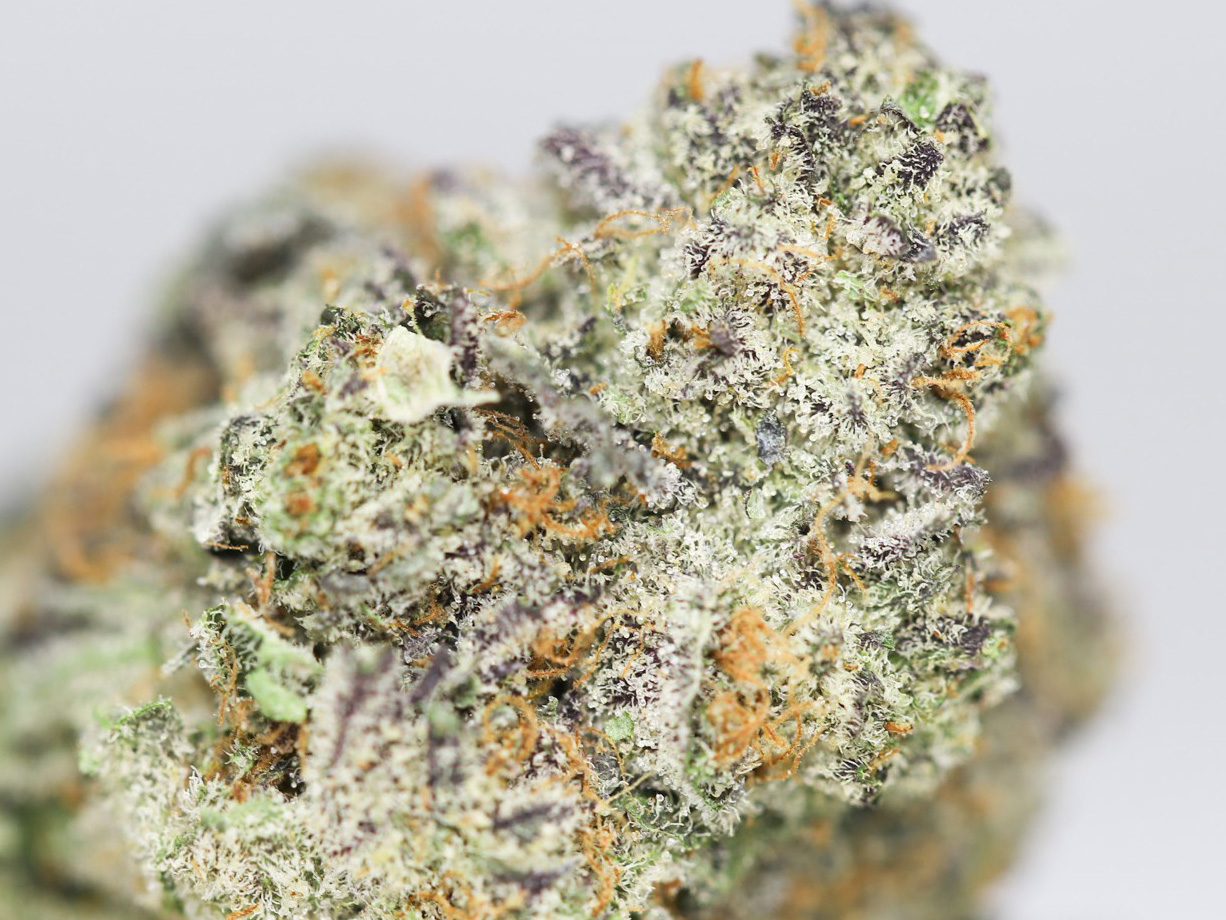 WATERMELON ZKITTLEZ AAA CLOSE UP.jpg WATERMELON ZKITTLEZ AAA CLOSE UP.jpg