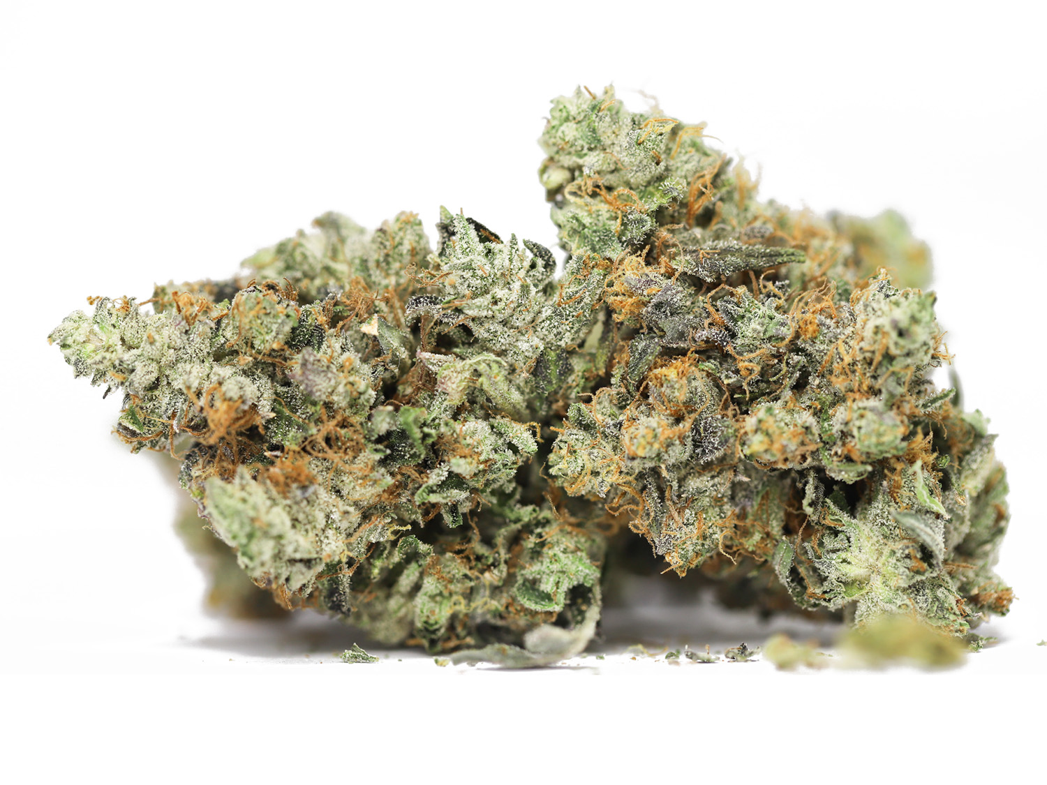 WIZ KHALIFA KUSH AA RESTOCK 4.jpg WIZ KHALIFA KUSH AA RESTOCK 4.jpg