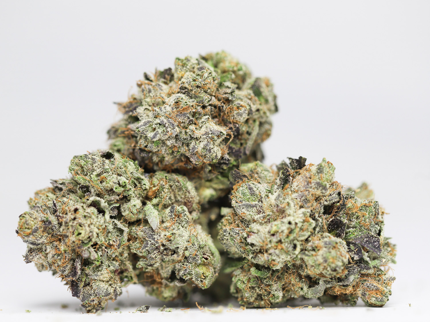 WIZ KHALIFA KUSH AAAA RESTOCK.jpg WIZ KHALIFA KUSH AAAA RESTOCK.jpg