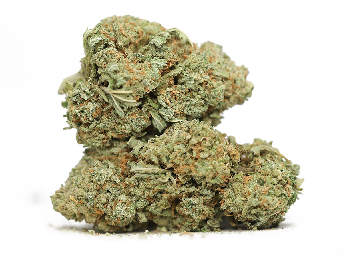 ZOMBIE og budget special 55.jpg ZOMBIE og budget special 55.jpg