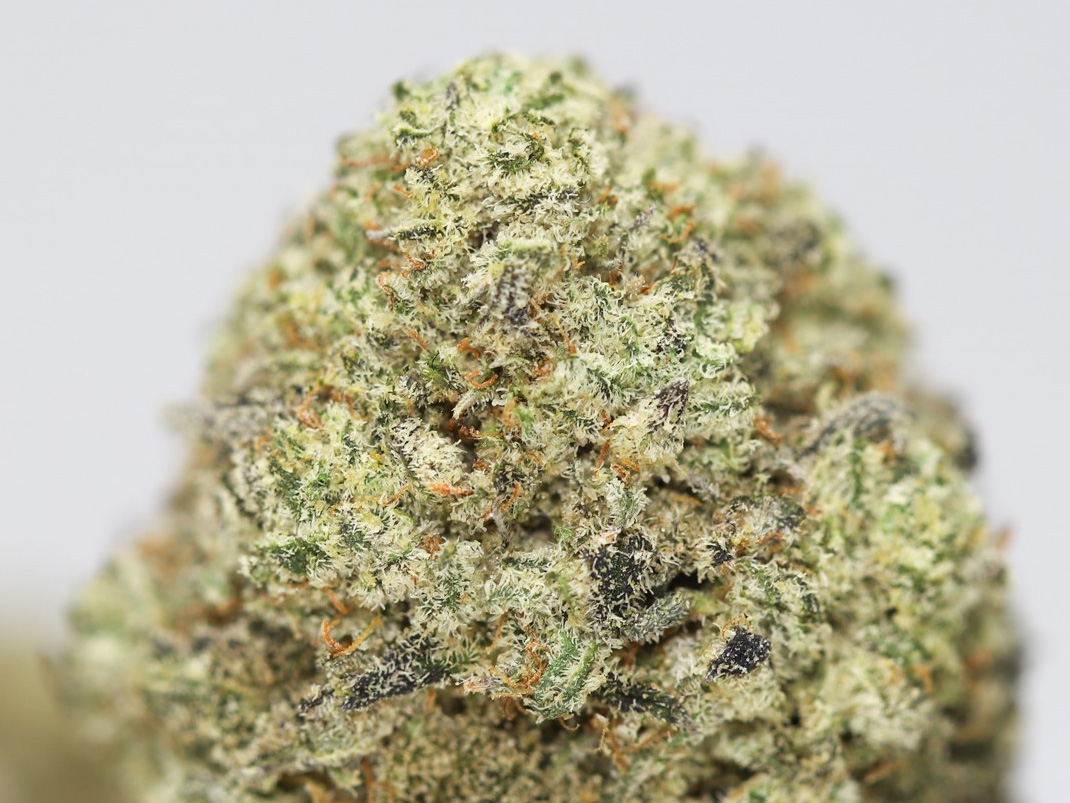 ZOUR APPLES AAA CLOSE UP.jpg ZOUR APPLES AAA CLOSE UP.jpg
