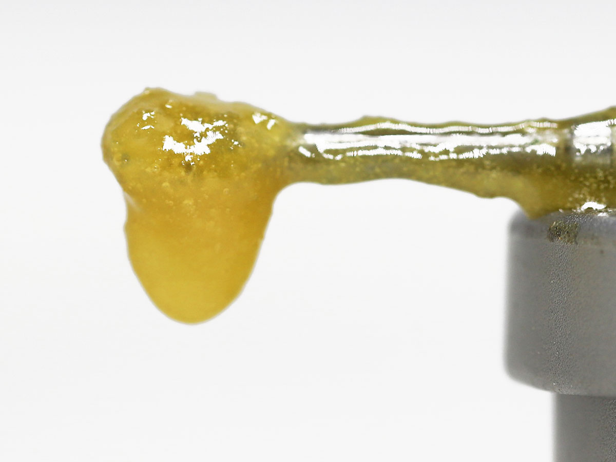 aaa charlotte web sauce close up.jpg aaa charlotte web sauce close up.jpg