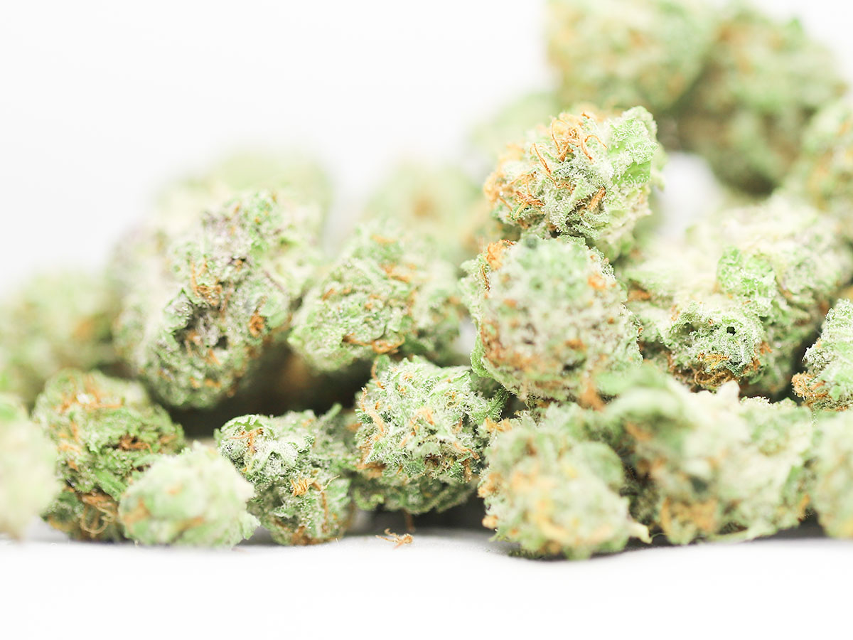 aaa small buds .jpg aaa small buds .jpg