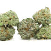 aaa small buds close up.jpg