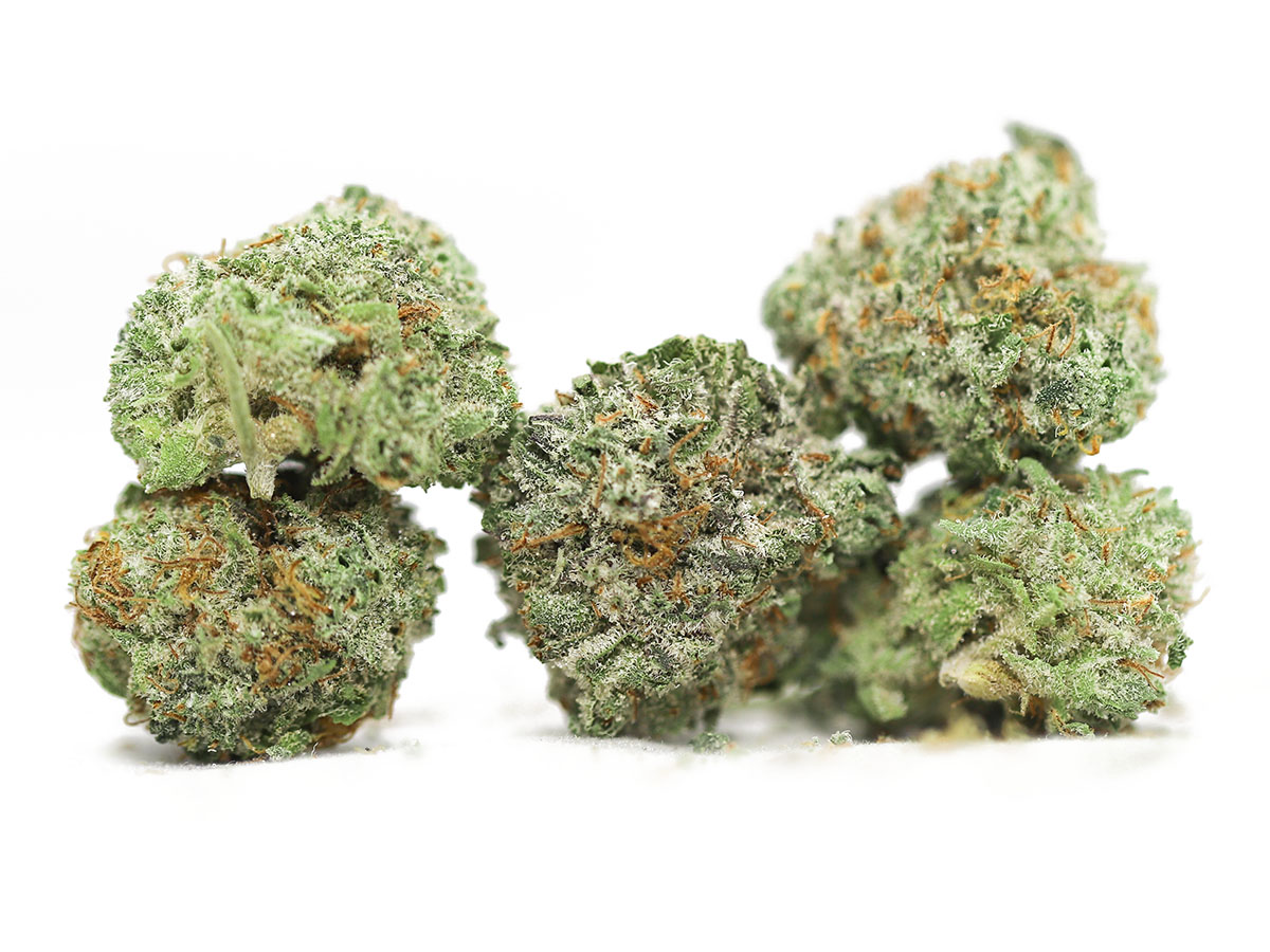 aaa small buds close up.jpg aaa small buds close up.jpg