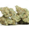 Agent Orange AAAA 1 agent orange aaaa.jpg