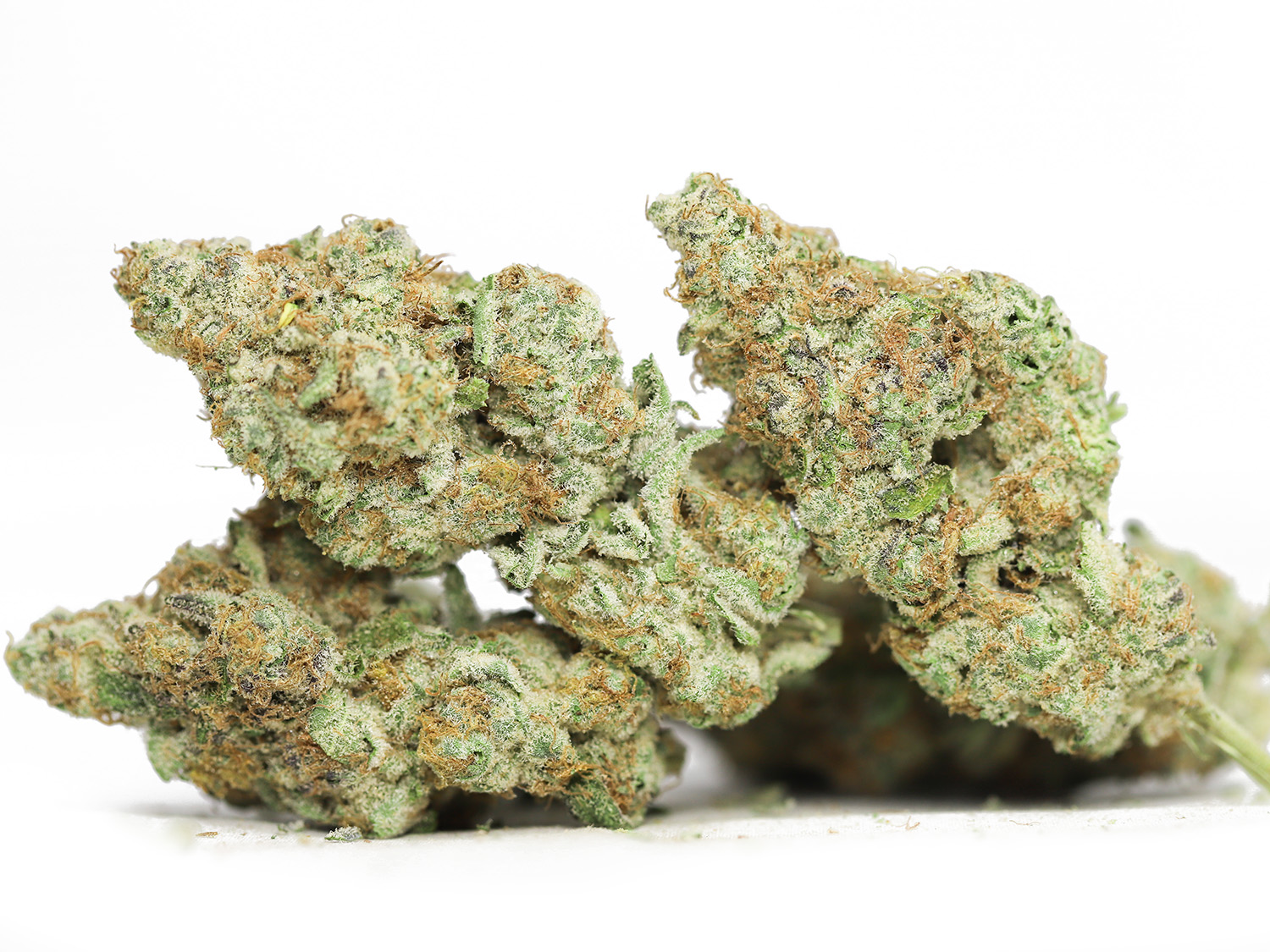 agent orange aaaa.jpg agent orange aaaa.jpg
