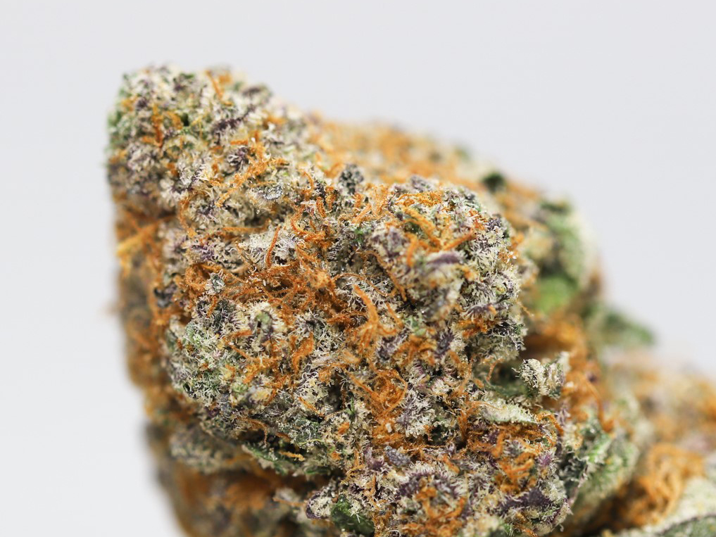 ak 47 close up.jpg ak 47 close up.jpg