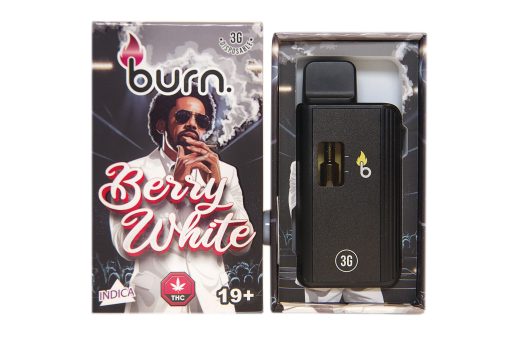 berry white front 510x339 1 1.jpg berry white front 510x339 1 1.jpg
