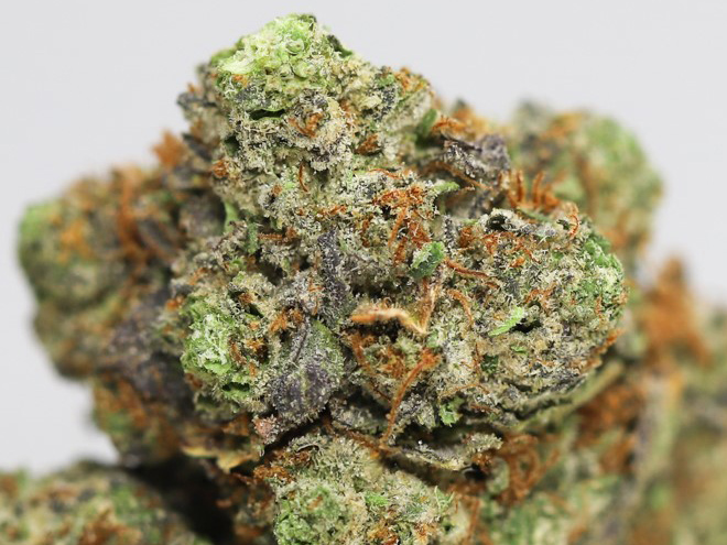 black bubba close up.jpg black bubba close up.jpg