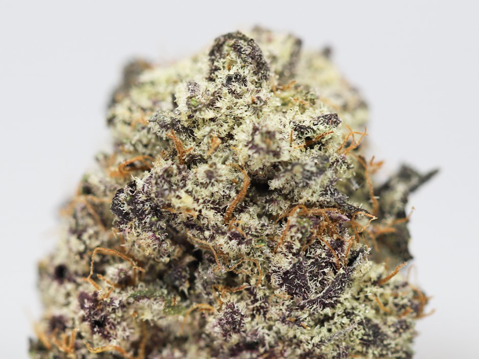black cherry soda close up.jpg black cherry soda close up.jpg