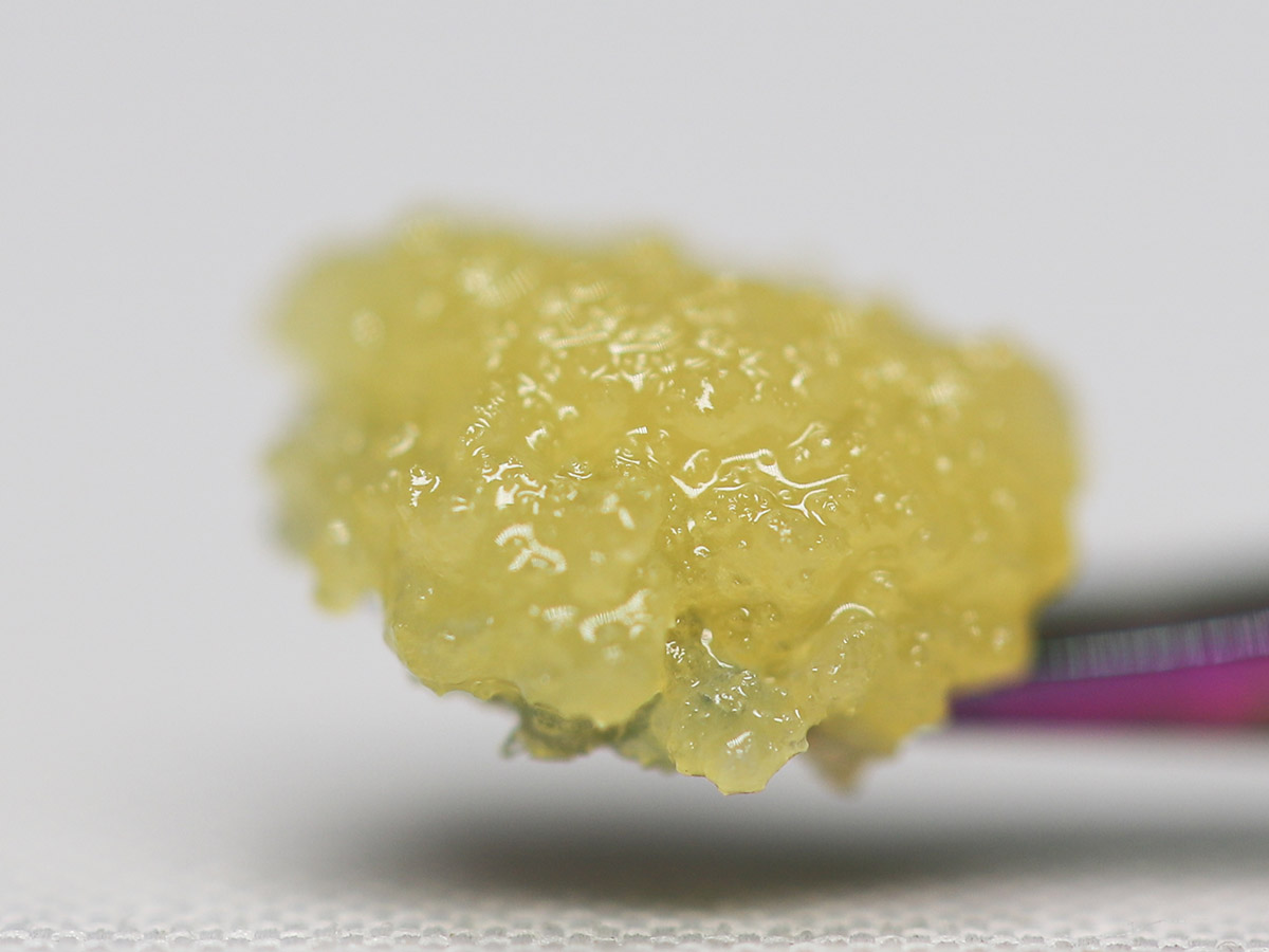 blackberry kush close .jpg blackberry kush close .jpg