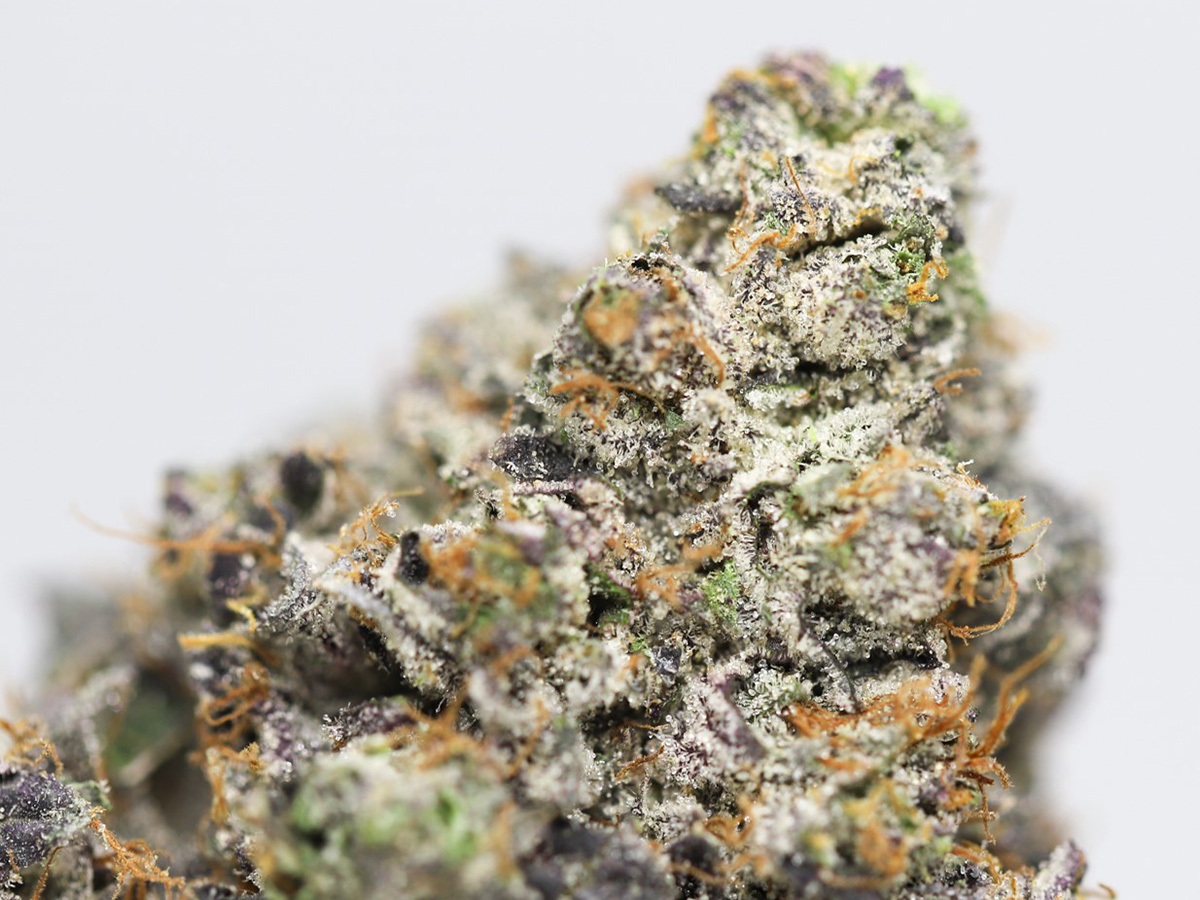 blackberry octane close up.jpg blackberry octane close up.jpg