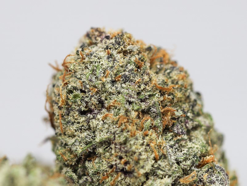 blue cinex close up.jpg blue cinex close up.jpg