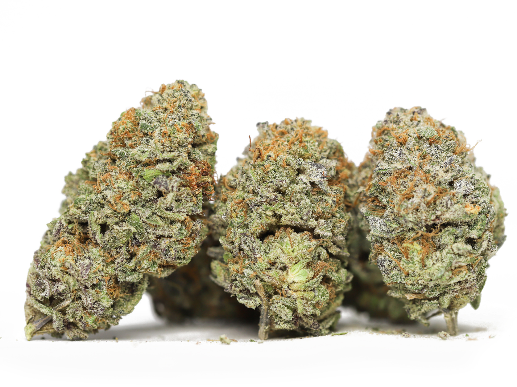 blue cinex oz special 79.jpg blue cinex oz special 79.jpg
