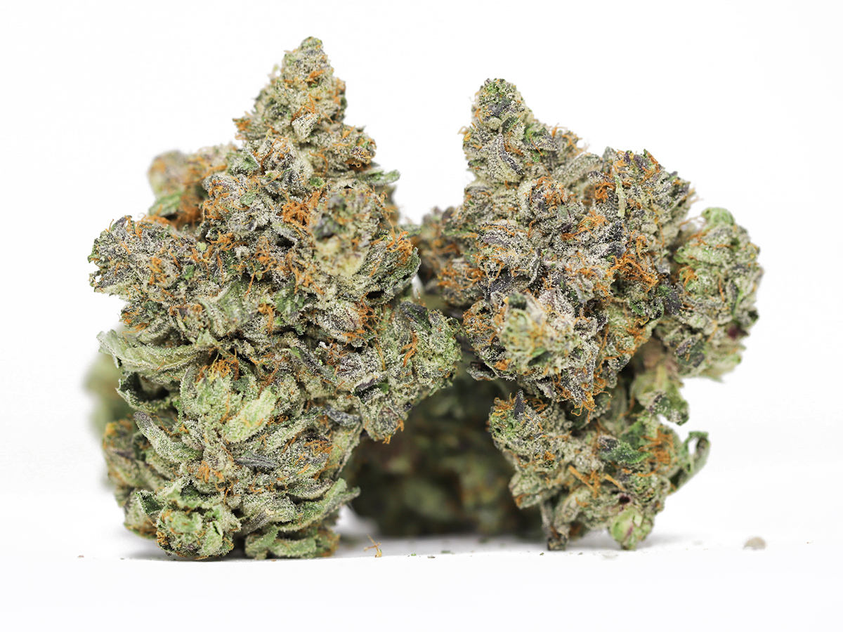 blue cookies AAAA restock.jpg blue cookies AAAA restock.jpg