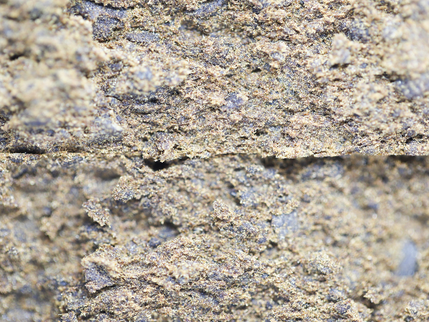 blue dream kief hash close up.jpg blue dream kief hash close up.jpg
