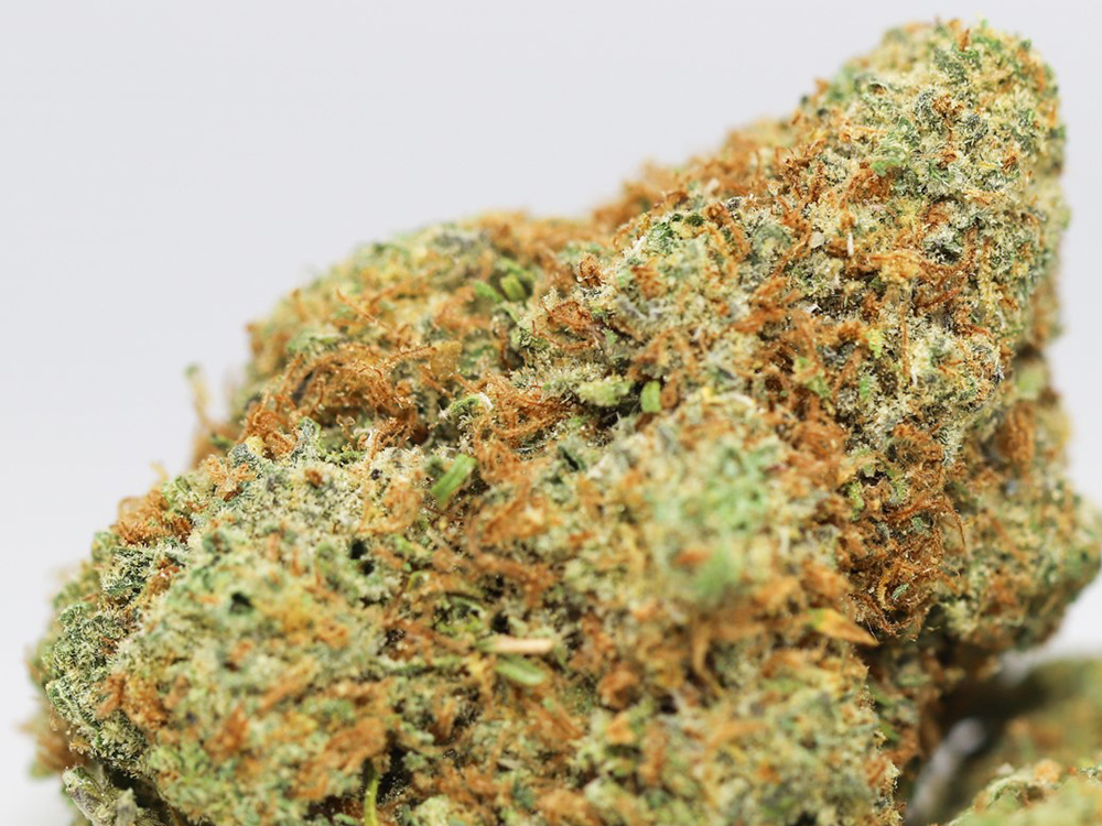 blue hawaiian close up.jpg blue hawaiian close up.jpg