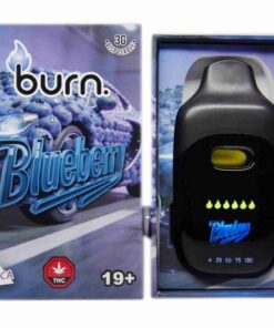 blueberry front scaled 1.jpg