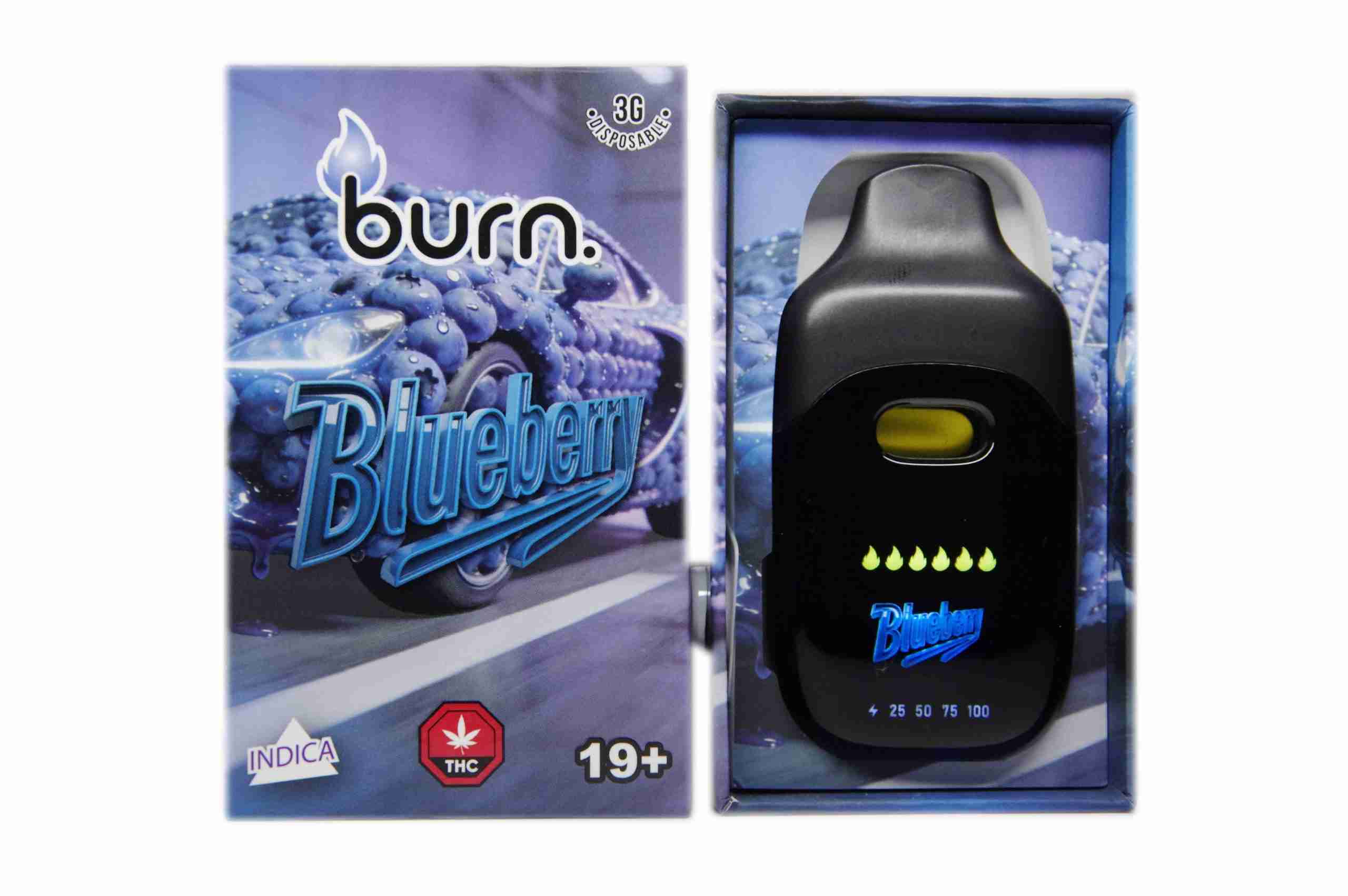 blueberry front scaled 1.jpg blueberry front scaled 1.jpg