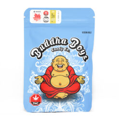 buddha boys.jpg
