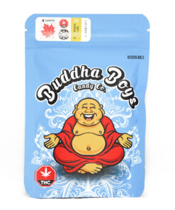 buddha boys.jpg