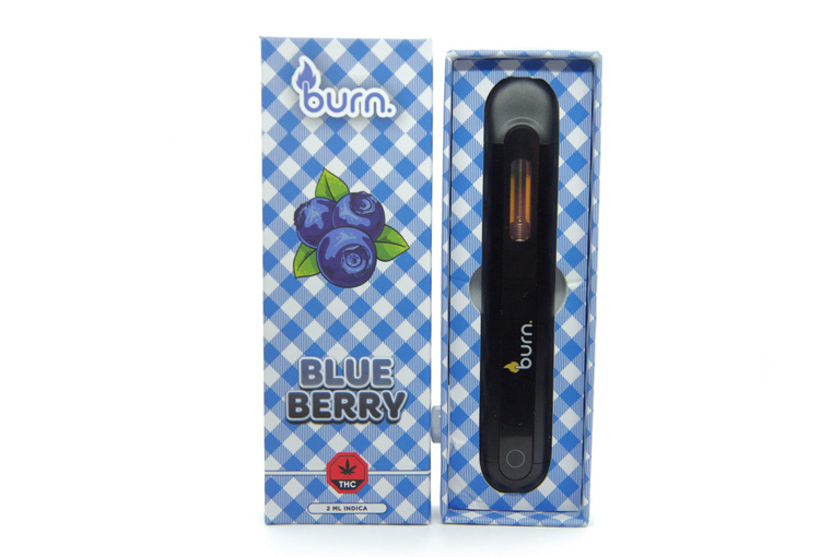 burn blueberry.jpg burn blueberry.jpg