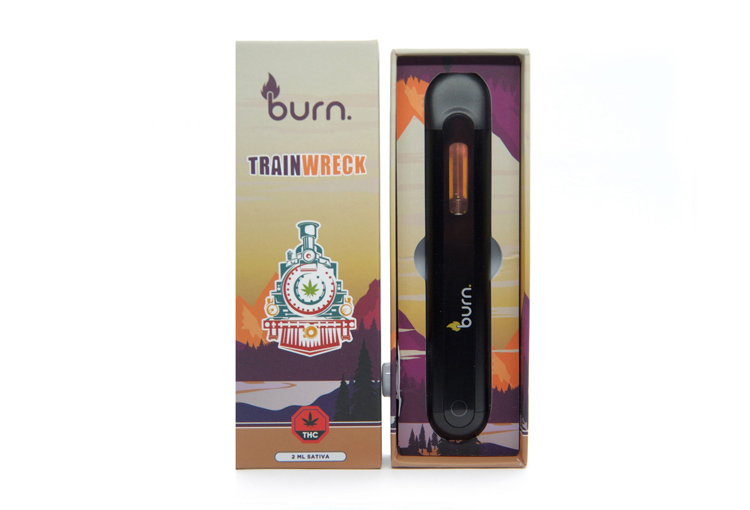 burn trainwreck 1.jpg burn trainwreck 1.jpg