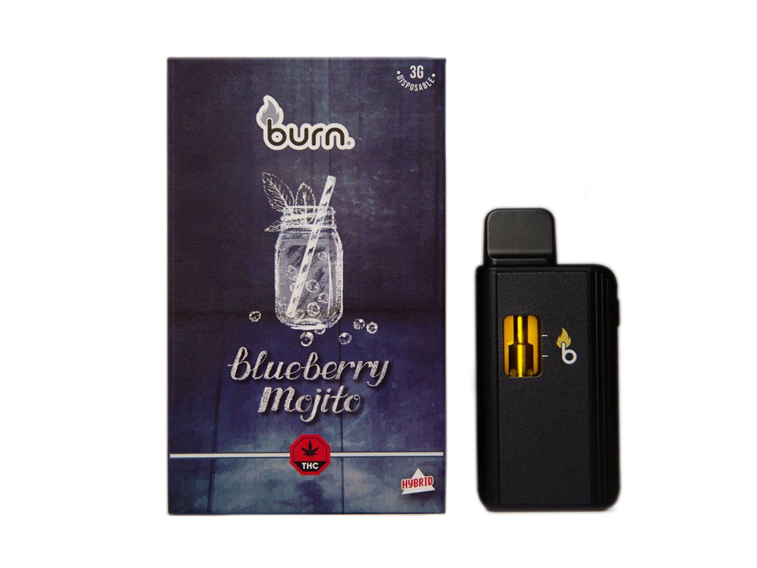 burn3mp blueberry mojito.jpg burn3mp blueberry mojito.jpg