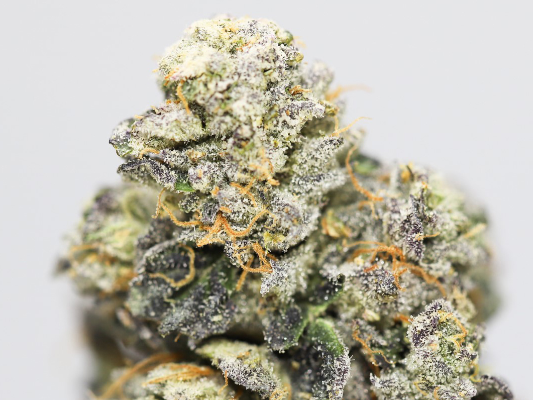 cherry wonka close up.jpg cherry wonka close up.jpg