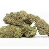 chocolope oz special 69.jpg