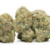 comatose og aaa restock.jpg