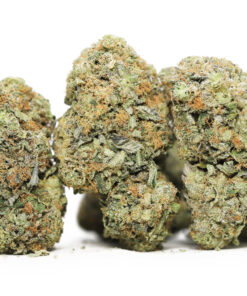 comatose og aaa restock.jpg