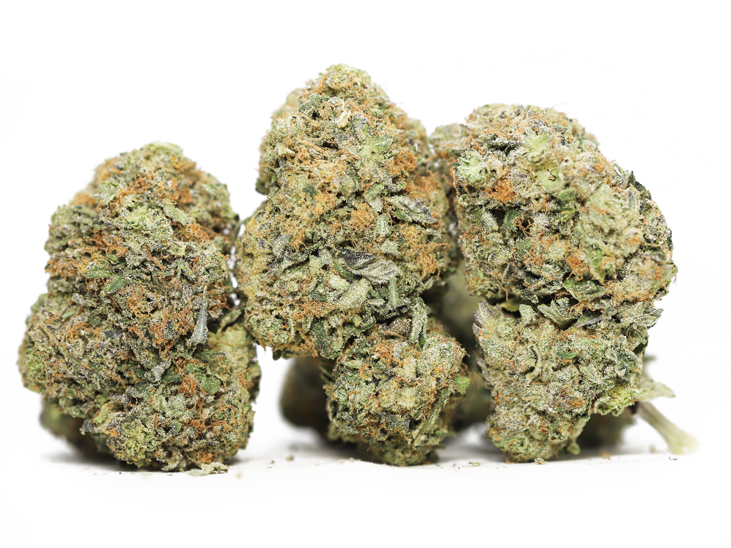 comatose og aaa restock.jpg comatose og aaa restock.jpg