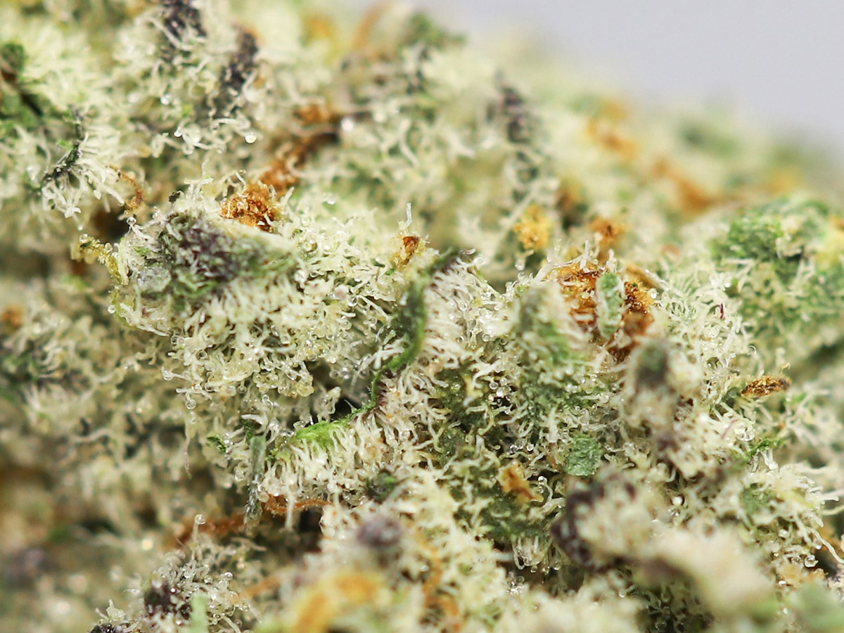 cookies n cream 106 krft mrkt close up.jpg cookies n cream 106 krft mrkt close up.jpg