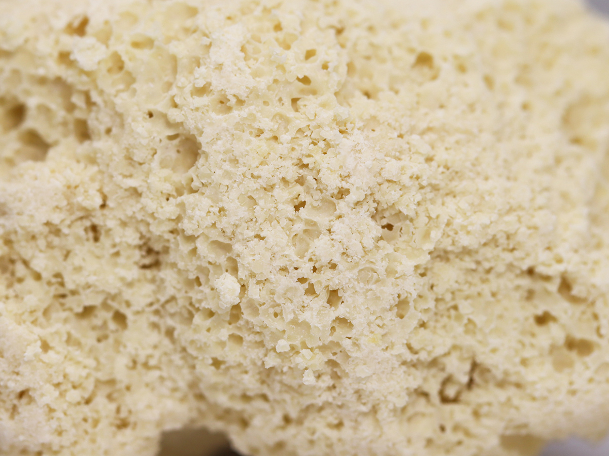 crescendo honey comb close up.jpg crescendo honey comb close up.jpg