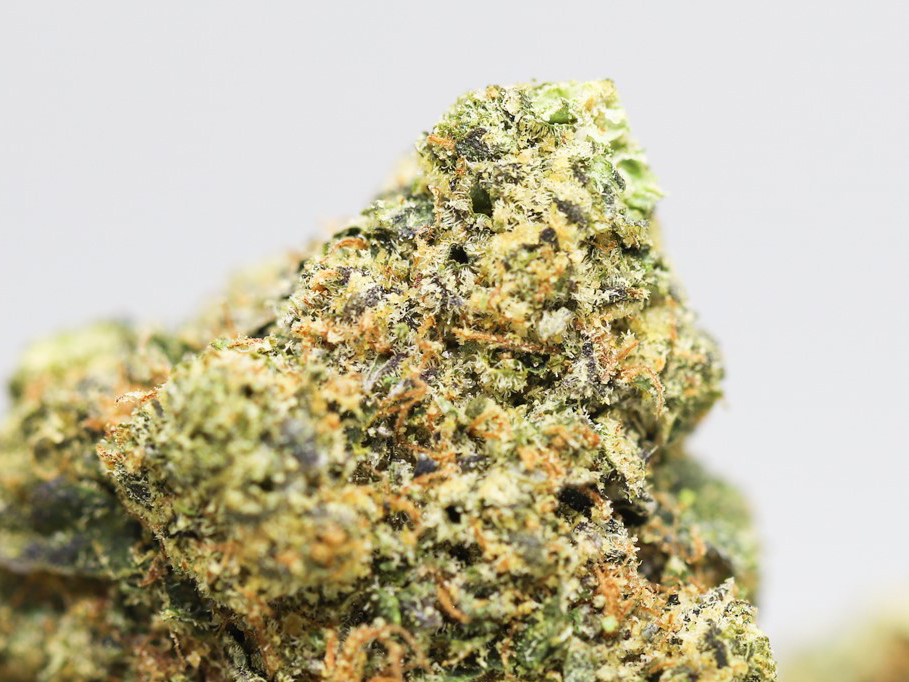 critcal kush close up.jpg critcal kush close up.jpg