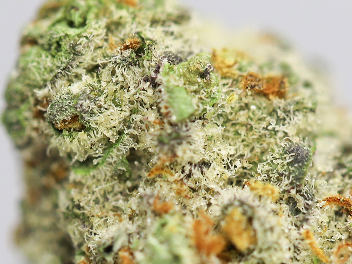 emerald cookies aaaa close up.jpg emerald cookies aaaa close up.jpg