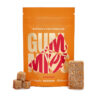 Euphoria Psychedelics - Orange Gummy 4000mg 2 euphoria orange 4000 1.jpg