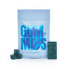 Euphoria Psychedelics – Blue Raspberry Gummy 1000mg 1 euphoria psy blue raspberry.jpg