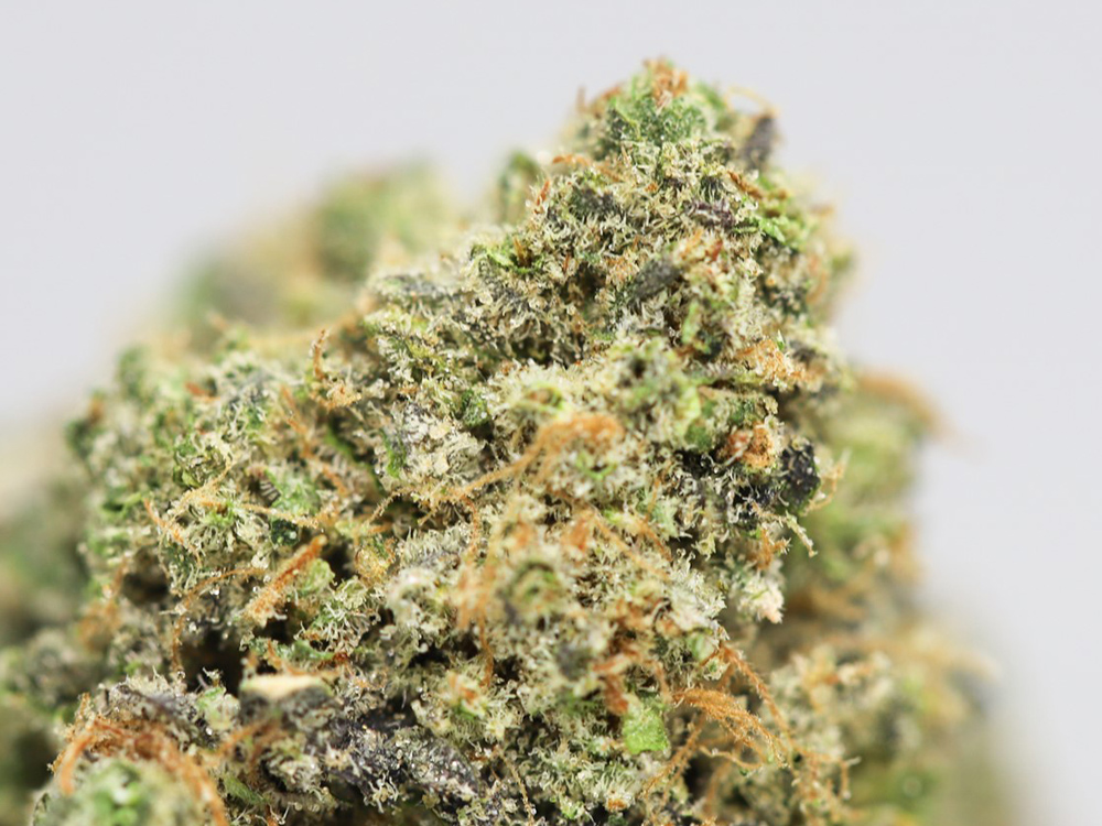 fruity pebbles close up.jpg fruity pebbles close up.jpg